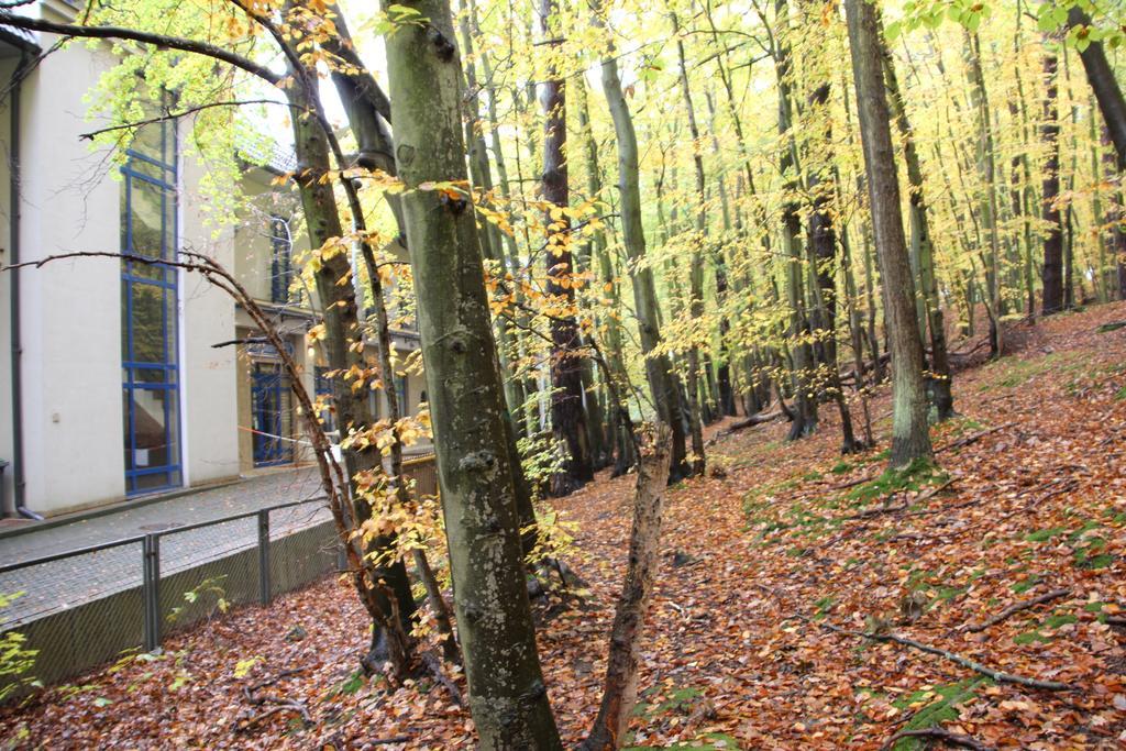Hotel Lesny Sopot Exterior foto